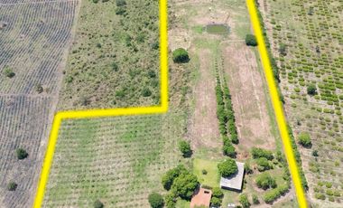 Rancho en Venta en Ixtlahuacán de los Membrillos, La Cañada
