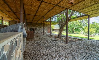 Rancho en Venta en Ixtlahuacán de los Membrillos, La Cañada