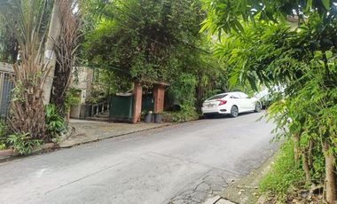 Sacrifice Sale Old house in Robinson Circle near Capital Common