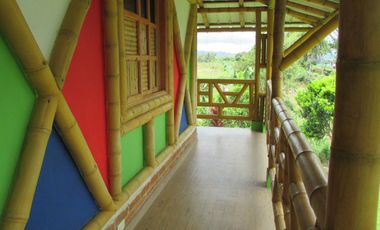 VENDO FINCA PRODUCTIVA VEREDA LA VENTURA, LA CUMBRE VALLE