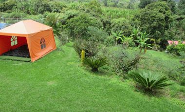 VENDO FINCA PRODUCTIVA VEREDA LA VENTURA, LA CUMBRE VALLE