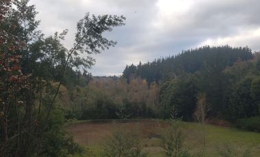 Hermosa Parcela Puente 5