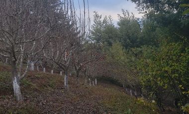 Hermosa Parcela Puente 5
