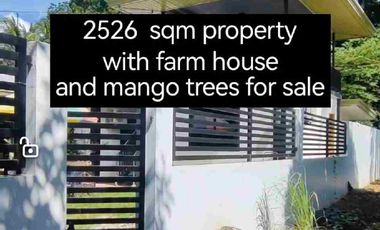 Minifarm With House in Samal Island for sale