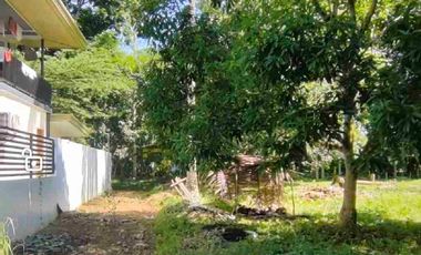 Minifarm With House in Samal Island for sale