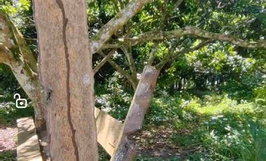 Minifarm With House in Samal Island for sale