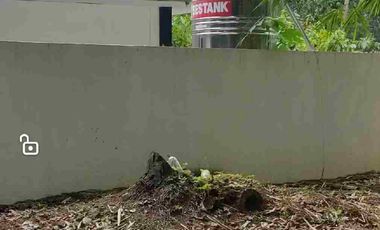 Minifarm With House in Samal Island for sale