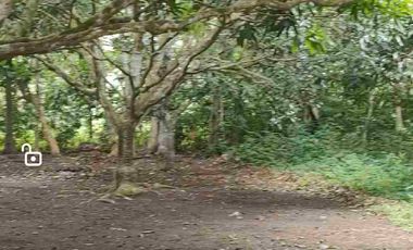 Minifarm With House in Samal Island for sale