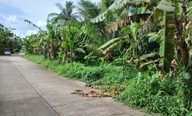2,200 sqm Lot in Panungyan, Mendez Cavite for SALE! 6k per sqm negotiable