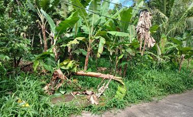 2,200 sqm Lot in Panungyan, Mendez Cavite for SALE! 6k per sqm negotiable