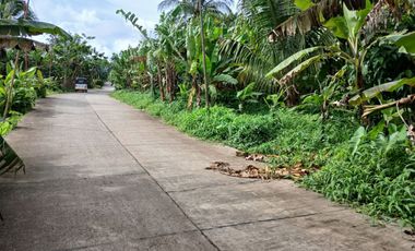 2,200 sqm Lot in Panungyan, Mendez Cavite for SALE! 6k per sqm negotiable