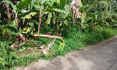 2,200 sqm Lot in Panungyan, Mendez Cavite for SALE! 6k per sqm negotiable