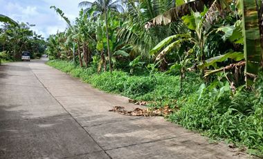 2,200 sqm Lot in Panungyan, Mendez Cavite for SALE! 6k per sqm negotiable