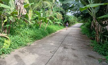 2,200 sqm Lot in Panungyan, Mendez Cavite for SALE! 6k per sqm negotiable