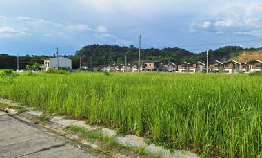 For Sale Lot at Narra Park Residences