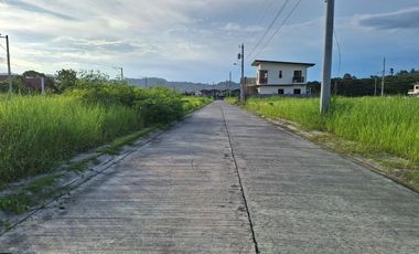 For Sale Lot at Narra Park Residences