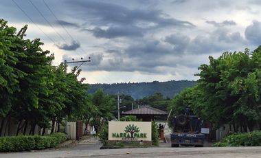 For Sale Lot at Narra Park Residences