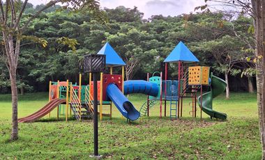 For Sale Lot at Narra Park Residences