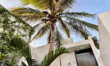 RENTA CASA DE UNA PLANTA EN PRIV CHOLUL