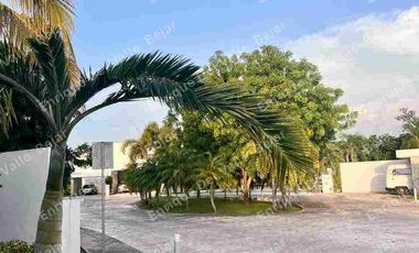 RENTA CASA DE UNA PLANTA EN PRIV CHOLUL