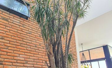 RENTA DE CASA EN ALTOZANO QUERETARO