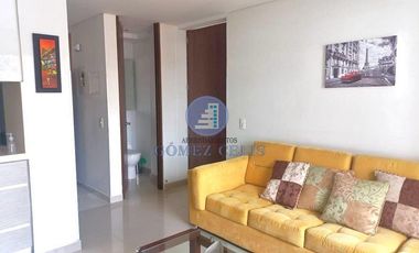 ARRIENDO AMOBLADO EN SOTOMAYOR SAN PEDRO HERMOSO