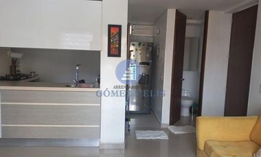 ARRIENDO AMOBLADO EN SOTOMAYOR SAN PEDRO HERMOSO