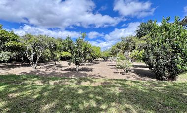 🌿 ¡Quinta Exclusiva en Venta – Las Palmas, Puembo! 🌿
