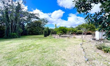 🌿 ¡Quinta Exclusiva en Venta – Las Palmas, Puembo! 🌿