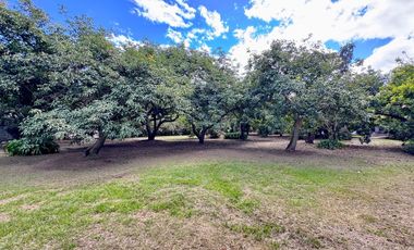 🌿 ¡Quinta Exclusiva en Venta – Las Palmas, Puembo! 🌿