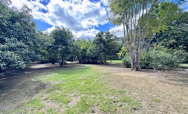 🌿 ¡Quinta Exclusiva en Venta – Las Palmas, Puembo! 🌿