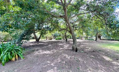 🌿 ¡Quinta Exclusiva en Venta – Las Palmas, Puembo! 🌿