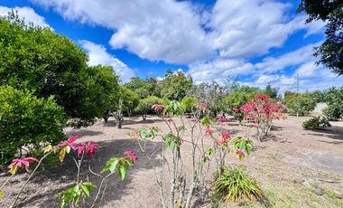 🌿 ¡Quinta Exclusiva en Venta – Las Palmas, Puembo! 🌿