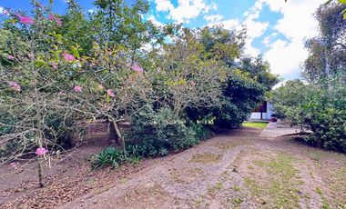 🌿 ¡Quinta Exclusiva en Venta – Las Palmas, Puembo! 🌿