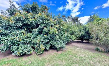 🌿 ¡Quinta Exclusiva en Venta – Las Palmas, Puembo! 🌿