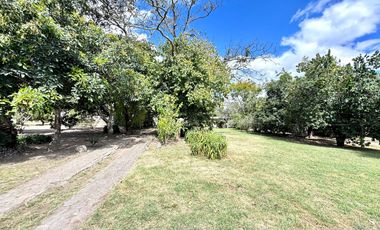 🌿 ¡Quinta Exclusiva en Venta – Las Palmas, Puembo! 🌿