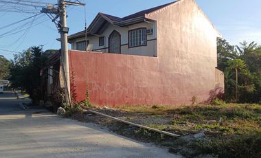 LOT FOR SALE • 805 SQM @ ₱7,500/SQM • De Claro‑Punzalan, Megaheights Subd, Alangilan, Batangas City
