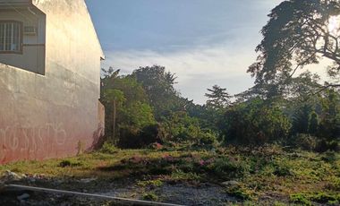 LOT FOR SALE • 805 SQM @ ₱7,500/SQM • De Claro‑Punzalan, Megaheights Subd, Alangilan, Batangas City