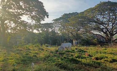 LOT FOR SALE • 805 SQM @ ₱7,500/SQM • De Claro‑Punzalan, Megaheights Subd, Alangilan, Batangas City