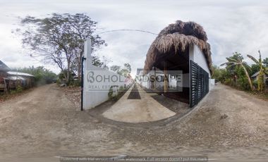 European-Inspired Villa Resort for Sale in Tawala, Panglao Island, Bohol