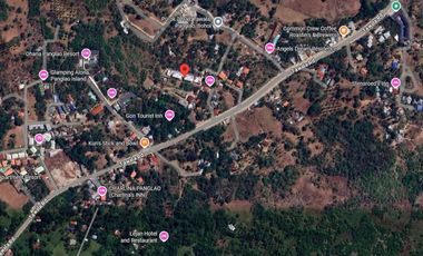 European-Inspired Villa Resort for Sale in Tawala, Panglao Island, Bohol