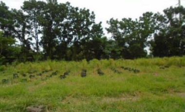 For Sale: Lot Area in Promenade Subdivision