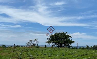 FOR SALE Farm Lots near Anvaya Cove, Morong Bataan