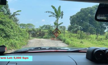 FOR SALE Farm Lots near Anvaya Cove, Morong Bataan