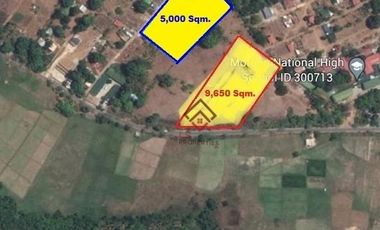 FOR SALE Farm Lots near Anvaya Cove, Morong Bataan