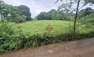 FOR SALE Farm Lots near Anvaya Cove, Morong Bataan