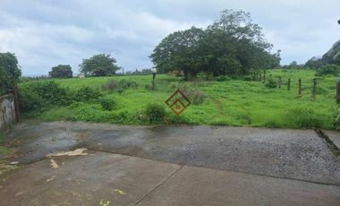FOR SALE Farm Lots near Anvaya Cove, Morong Bataan