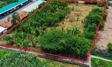 Rarely on the market! Large Land Plot for Sale – 600 sq.wah in Petchmontol Green Project, Bangbon 5 Road