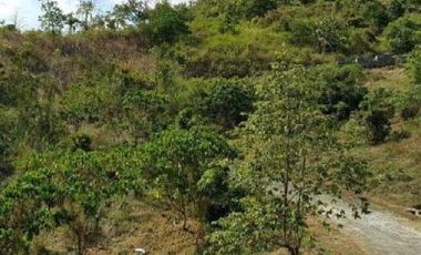 Lot for sale in Pacac, Guimba