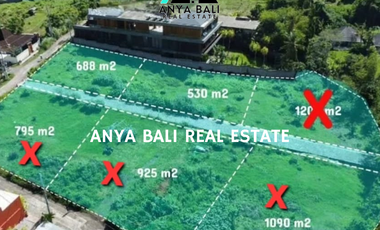 Dijual tanah kavling mulai 5 Are an dekat shortcut Pantai Lima dan Pantai Pererenan Bali